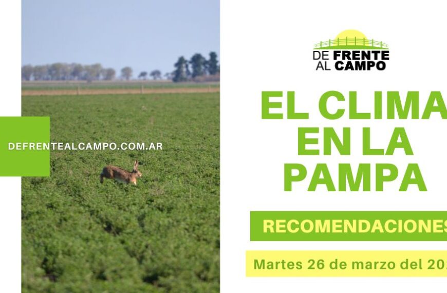 Clima y recomendaciones para La Pampa, hoy martes 26 de marzo de 2024: martes templado y húmedo, con baja probabilidad de lluvias
