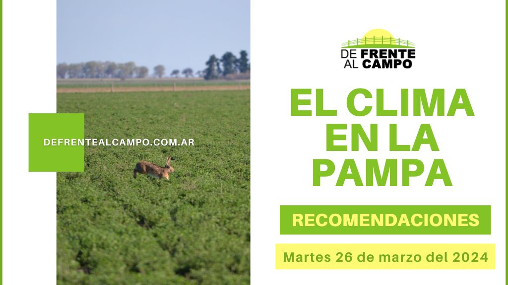 Clima y recomendaciones para La Pampa, hoy martes 26 de marzo de 2024: martes templado y húmedo, con baja probabilidad de lluvias