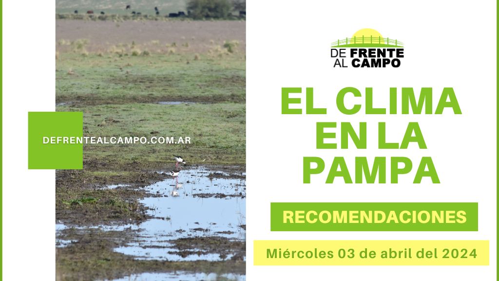Clima y recomendaciones para La Pampa, hoy miércoles 03 de abril de 2024: Jornada soleada y fresca, con descenso de temperatura.