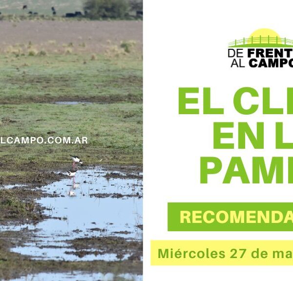 Clima y recomendaciones para La Pampa, hoy miércoles 27 de marzo de 2024: Jornada soleada con descenso de temperatura
