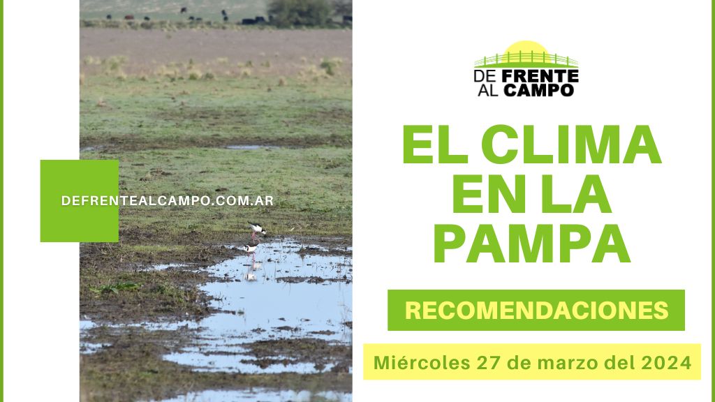 Clima y recomendaciones para La Pampa, hoy miércoles 27 de marzo de 2024: Jornada soleada con descenso de temperatura