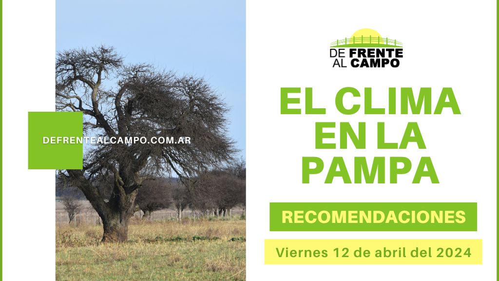 Lluvias se extienden por toda La Pampa: Alerta por mal tiempo se extiende al viernes 12 de abril del 2024