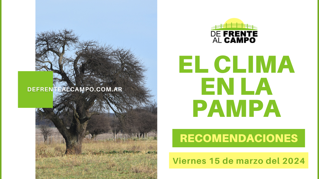 Clima y recomendaciones para La Pampa, hoy viernes 15 de marzo de 2024: Jornada con mañana soleada y fresca, tarde templada y noche agradable