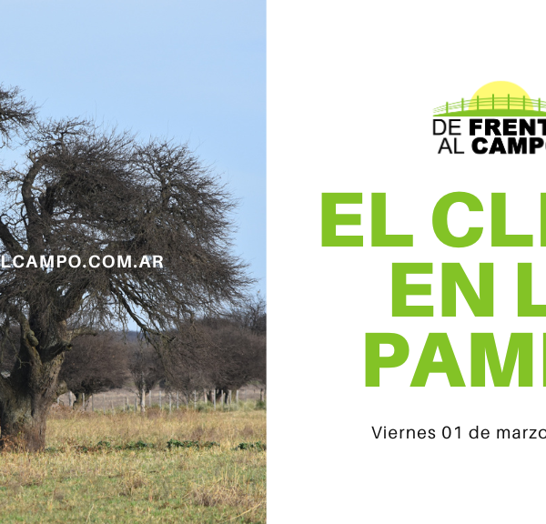 Clima en La Pampa para hoy, 01 de marzo de 2024: Jornada soleada y fresca en Santa Rosa, con ascenso de la temperatura