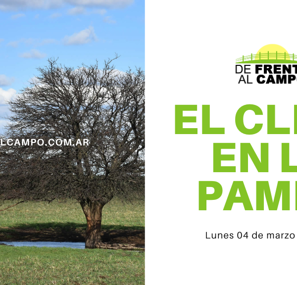 Clima en La Pampa para hoy, lunes 04 de marzo de 2024: Jornada soleada con descenso de temperatura