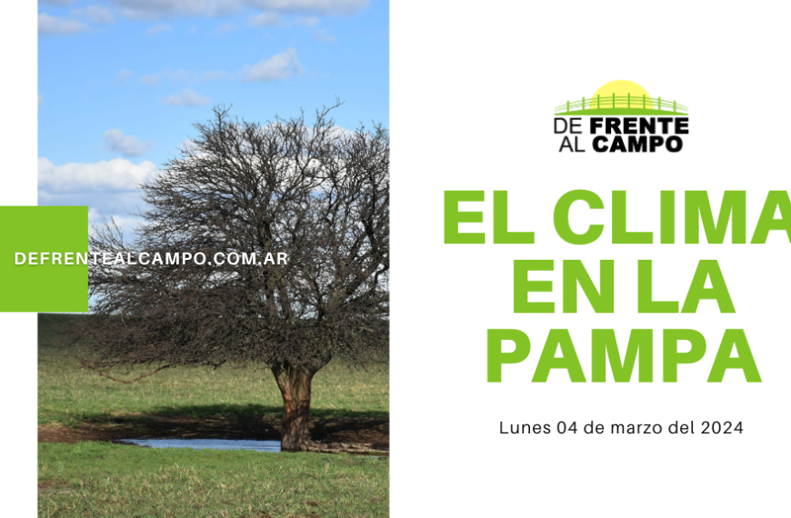 Clima en La Pampa para hoy, lunes 04 de marzo de 2024: Jornada soleada con descenso de temperatura