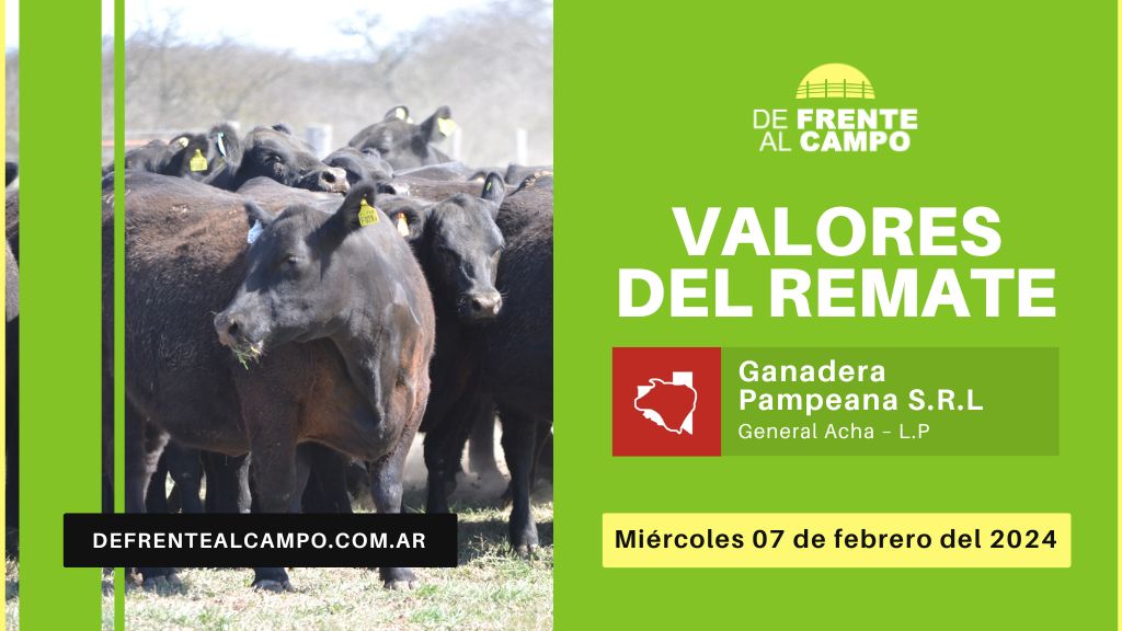 Valores de remate | Ganadera Pampeana S.R.L. – General Acha -L.P.- | 07-02-2024