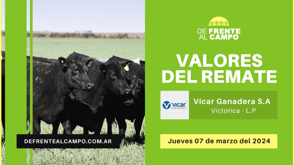 Valores de remate | Vicar Ganadera S.A. – Victorica – L.P | 07-03-2024