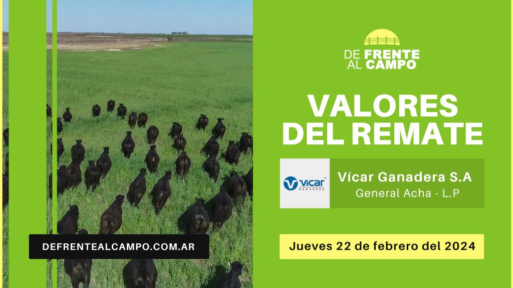 Valores de remate | Vicar Ganadera S.A. – General Acha – L.P | 22-02-2024