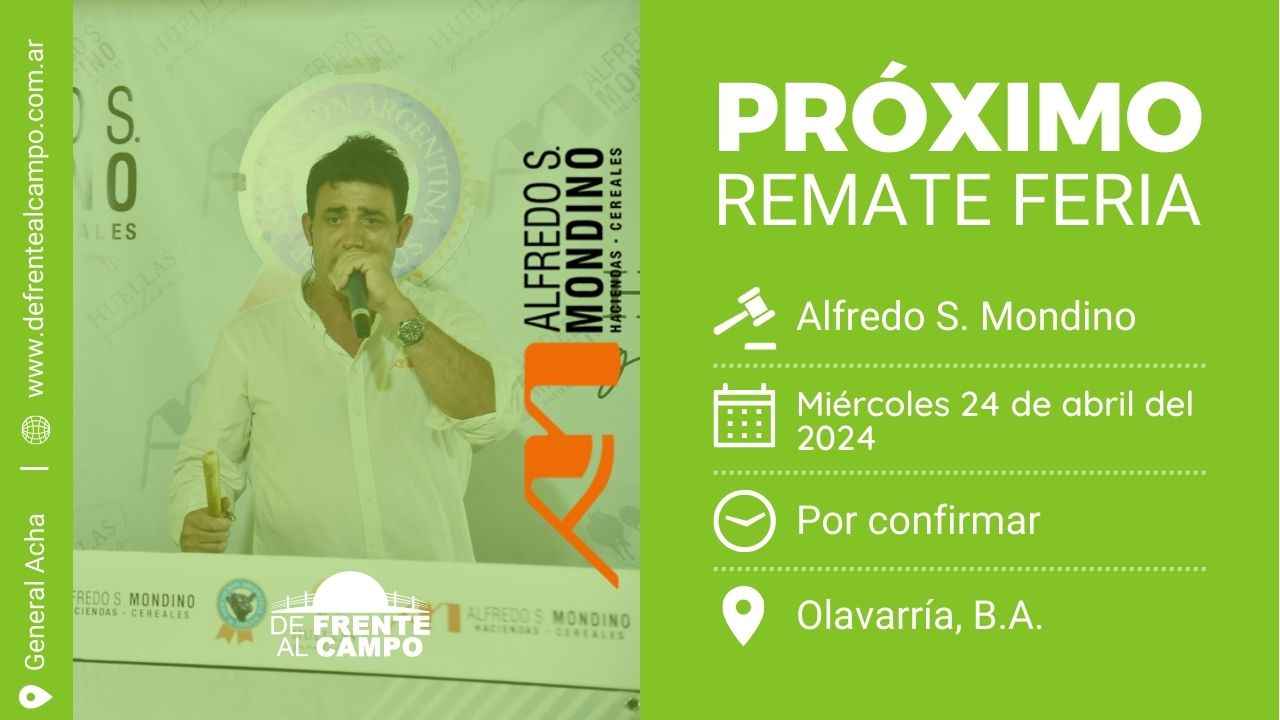 Alfredo S. Mondino | Olavarría – Bs.As. | Próximo Remate Feria el miércoles 24 de abril 2024