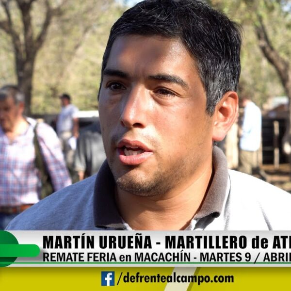 Entrevista: Martín Urueña -Martillero de Atreu-Có