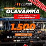 Alfredo S. Mondino | Olavarría – Prov. Bs As. | Próximo Remate Feria el Lunes 06 de mayo del 2024