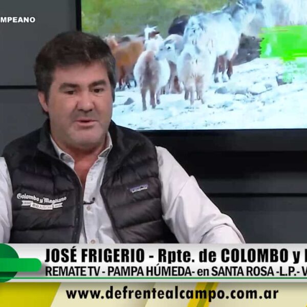 Entrevista: José Frigerio -Rpte. de Colombo y Magliano S.A.
