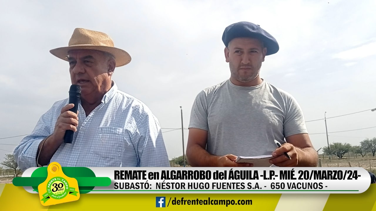 Remate Feria de Néstor Hugo Fuentes S.A. – Algarrobo del Águila -L.P. | 20-03-2024