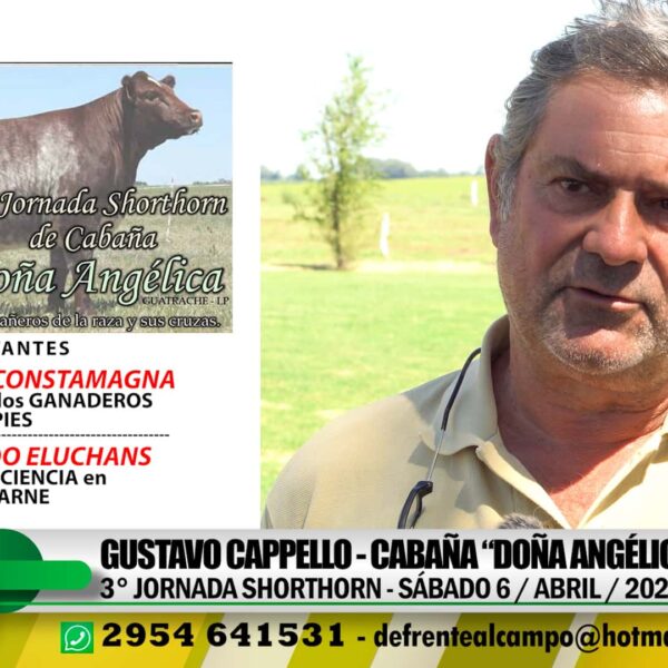 Entrevista: Gustavo Cappello – Cabaña «Doña Angélica» –