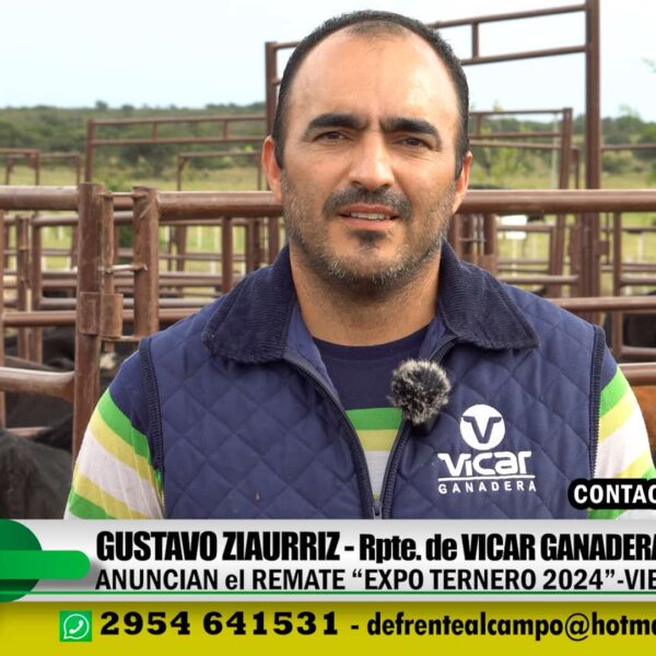 Entrevista: Gustavo Ziaurriz – Rpte. de Vicar Ganadera S.A.-