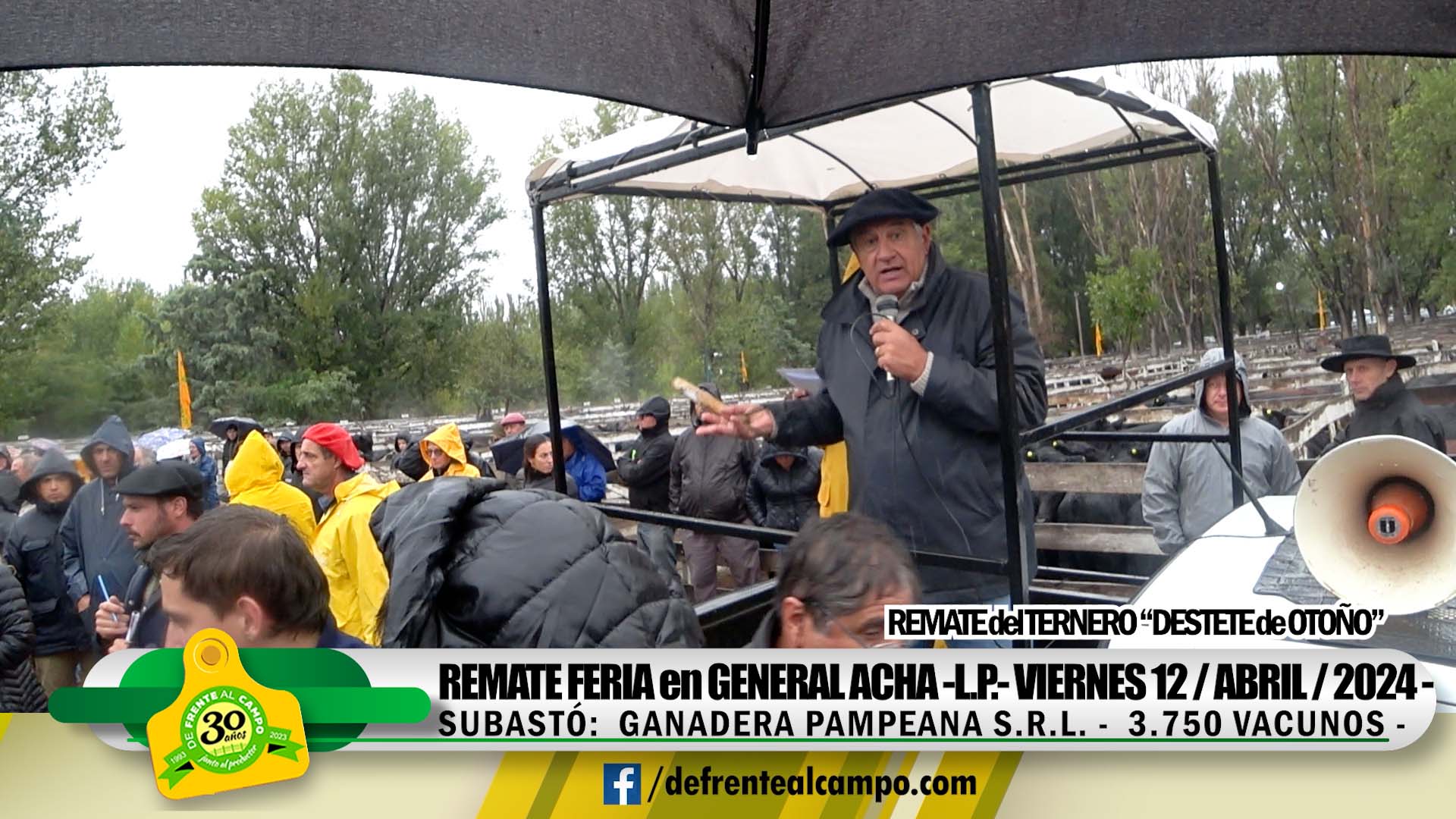 Remate Feria de Ganadera Pampeana S.R.L. – General Acha -L.P.- | 12-04-2024