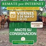 Gregorio Aberasturi SRL | Remate por internet | Próximo Remate Feria el viernes 03 de mayo del 2024