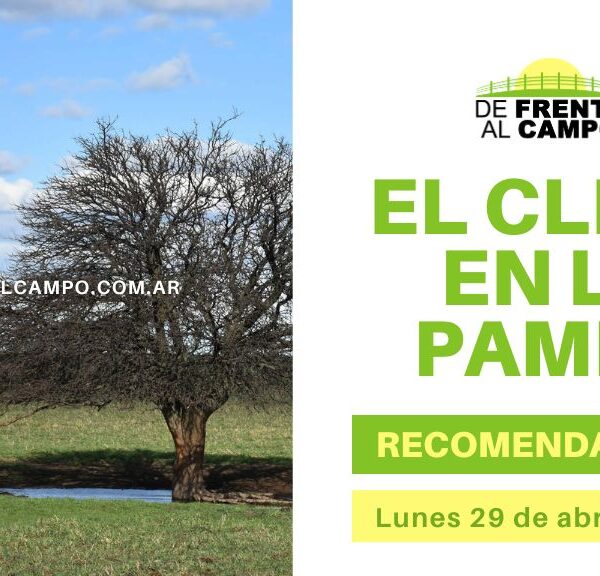 La Pampa: Lunes fresco y soleado. Pronóstico y recomendaciones (29 de abril de 2024)