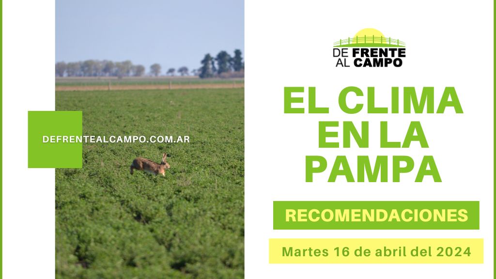 La Pampa sigue bajo la lluvia y el viento ¿Cuándo termina el temporal? (martes 16 de abril de 2024)