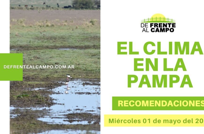 Mañana fresca en La Pampa: Pronóstico y recomendaciones para el Miércoles 08 de mayo de 2024