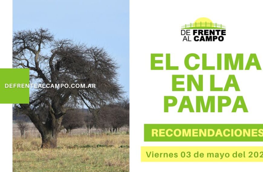 Pronóstico y recomendaciones para La Pampa: Viernes soleado con ráfagas de viento por la tarde (03 de mayo de 2024)