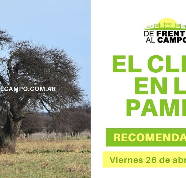 ¡Viernes soleado y agradable en La Pampa! Pronóstico y recomendaciones (26 de abril de 2024)