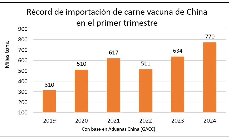 China sigue batiendo récords de importación de carne vacuna