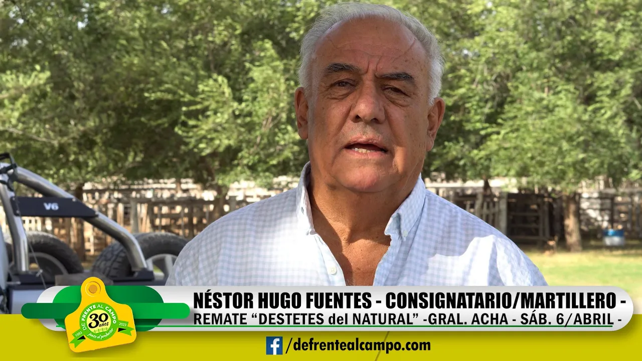 Entrevista: Néstor Fuentes – «Destetes del Natural 2024»