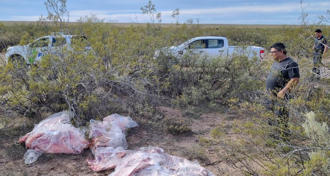 Barrera sanitaria patagónica: Detectan mercadería no apta para el consumo