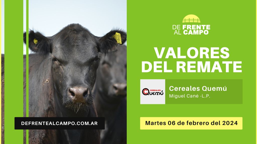 Valores de remate | Cereales Quemu S.A. – Miguel Cané -L.P. | 06-02-2024