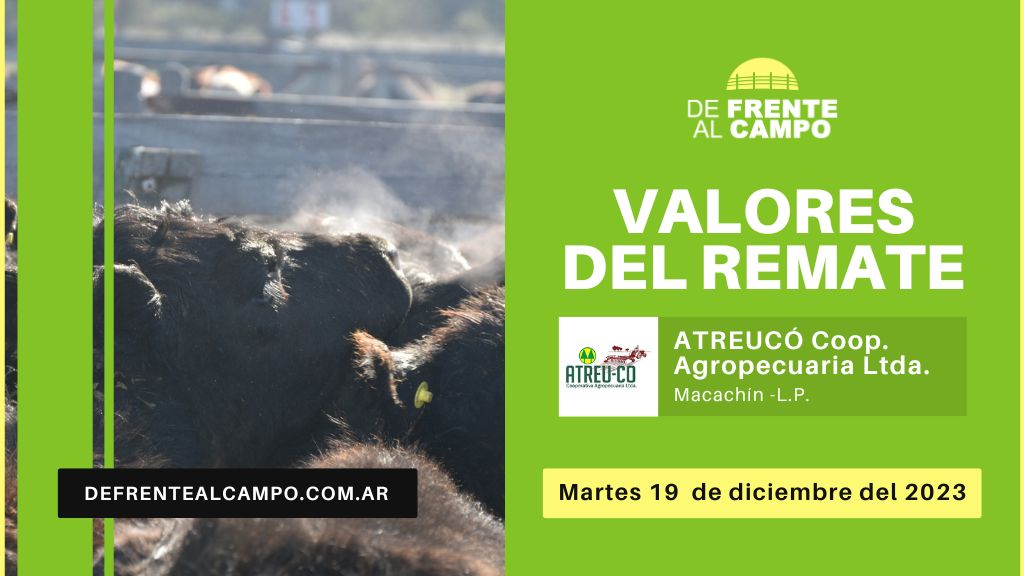 Valores de remate | Atreu-Có Coop. Agrop. – Macachín – L.P. | 19-12-2023