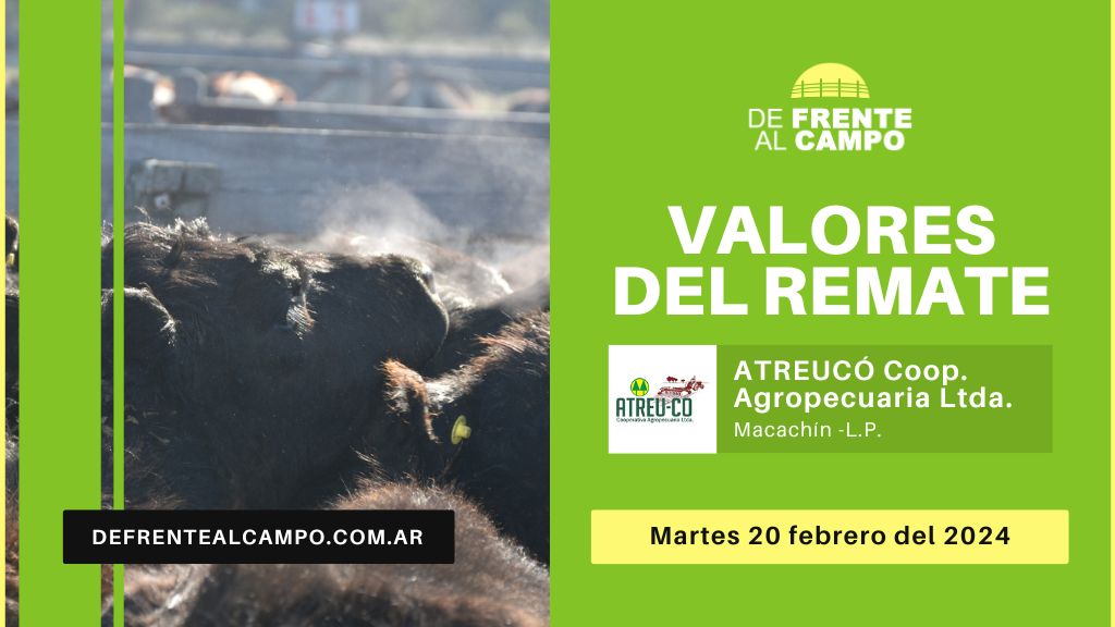 Valores de remate | Atreu-Có Coop. Agrop. – Macachín – L.P. | 20-02-2024