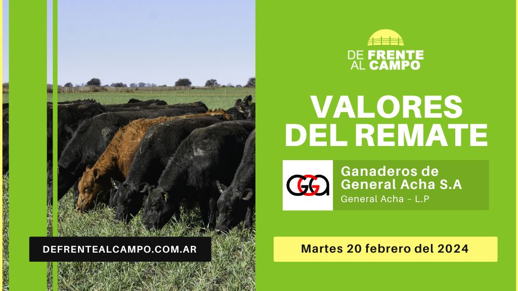 Valores de remate | Ganaderos de General Acha S.A. – Gral. Acha L.P. | 20-02-2024