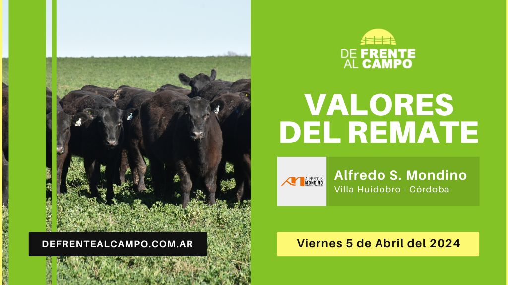 Valores de remate | Alfredo S Mondino – Villa Huidobro – L.P | 05-04-2024