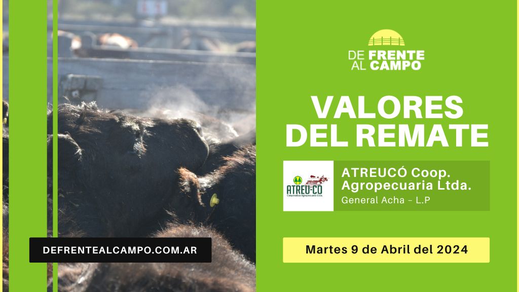 Valores de remate de Atreu Có Cooperativa Agropecuaria de Macachín -Macachín -L.P.- | 09-04-2024