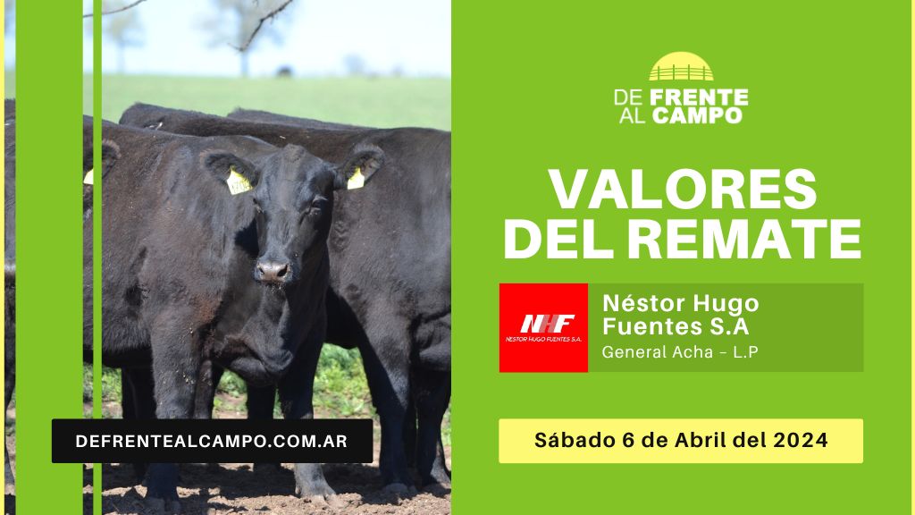 Valores del Remate «DESTETES del NATURAL» de Néstor Hugo Fuentes S.A. – General Acha -L.P. | 06-04-2024