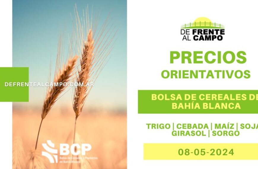 Reporte | Precios orientativos de la Bolsa de Cereales de Bahía Blanca – 08/05/2024