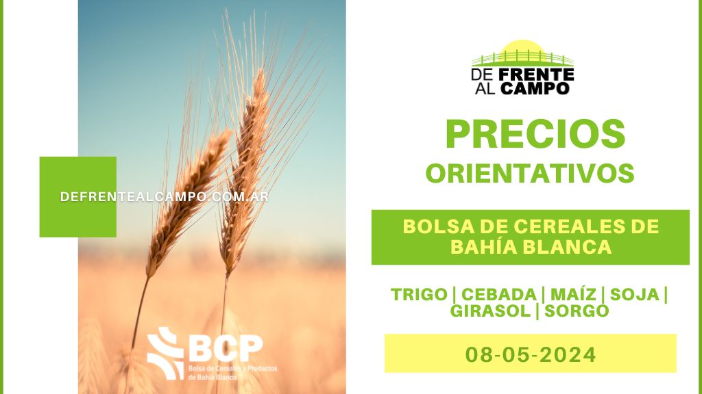 Reporte | Precios orientativos de la Bolsa de Cereales de Bahía Blanca – 08/05/2024
