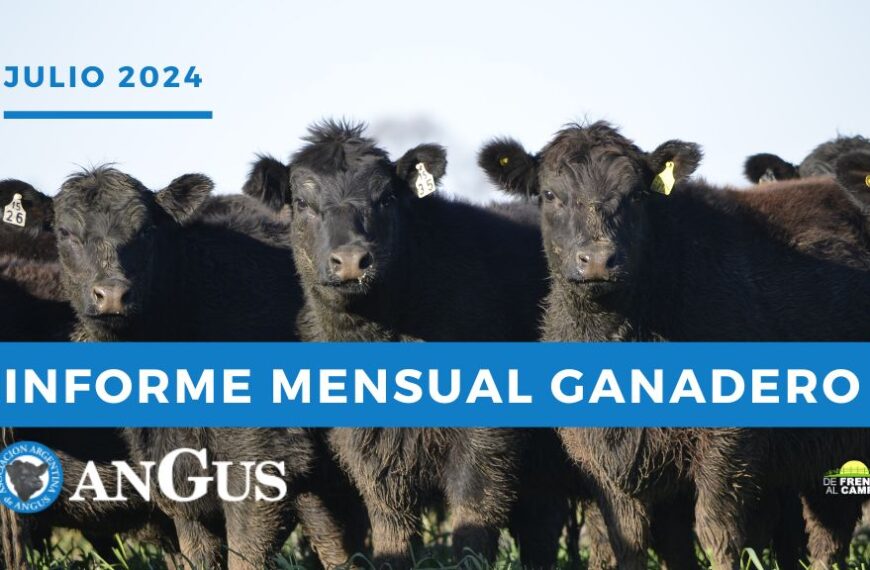 Informe Mensual Asociación Argentina de Angus Julio 2024