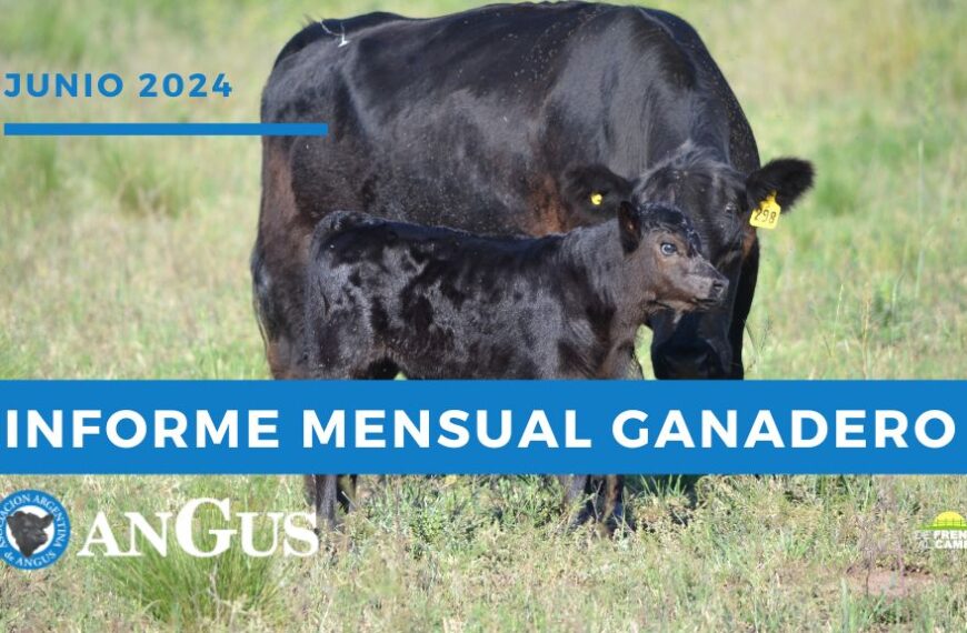 Informe Mensual Asociación Argentina de Angus Junio 2024