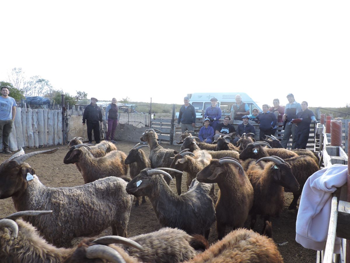 La Facultad de Fiencias Veterinarias de la UNLPAM y técnicos del INTA trabajaron en conjunto en una actividad de extensión en nuestro Oeste Pampeano