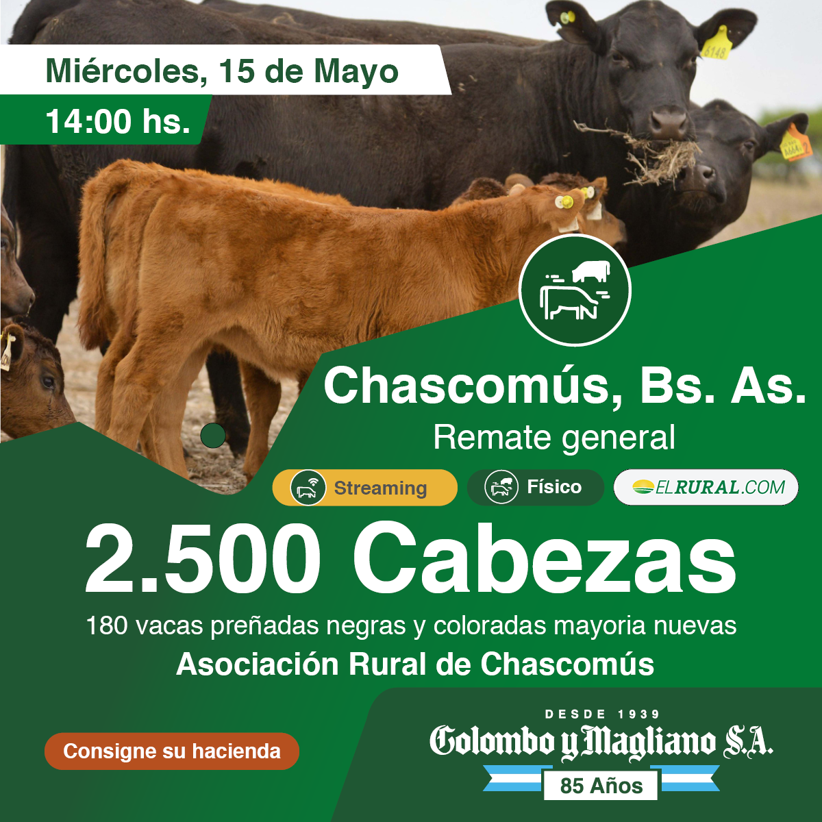 Colombo y Magliano S.A | Chascomús, Bs. As. | Próximo Remate Feria el miércoles 15 de Mayo del 2024