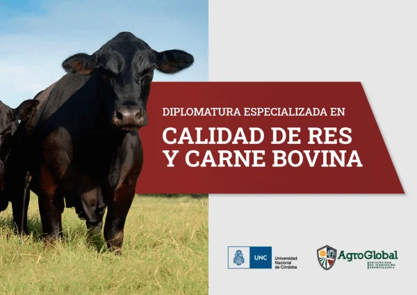 Diplomatura en Calidad de Res y Carne Bovina