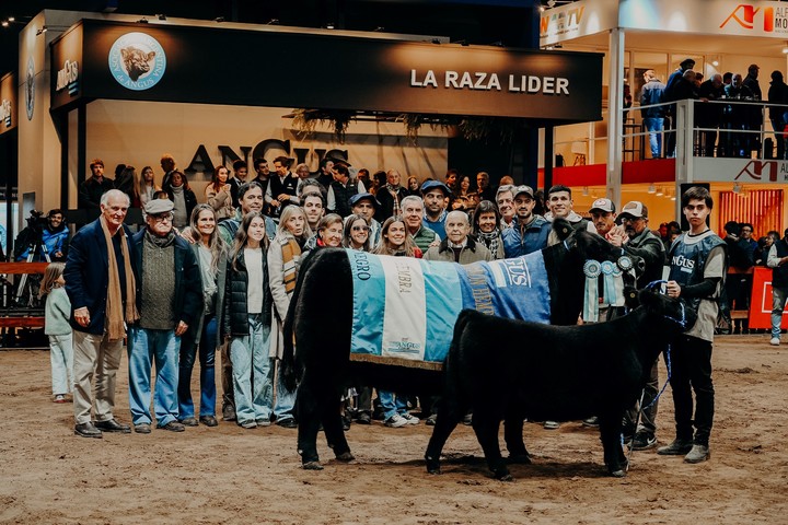 Se eligieron los ganadores del Supremo Gran Campeón Angus en macho y hembra