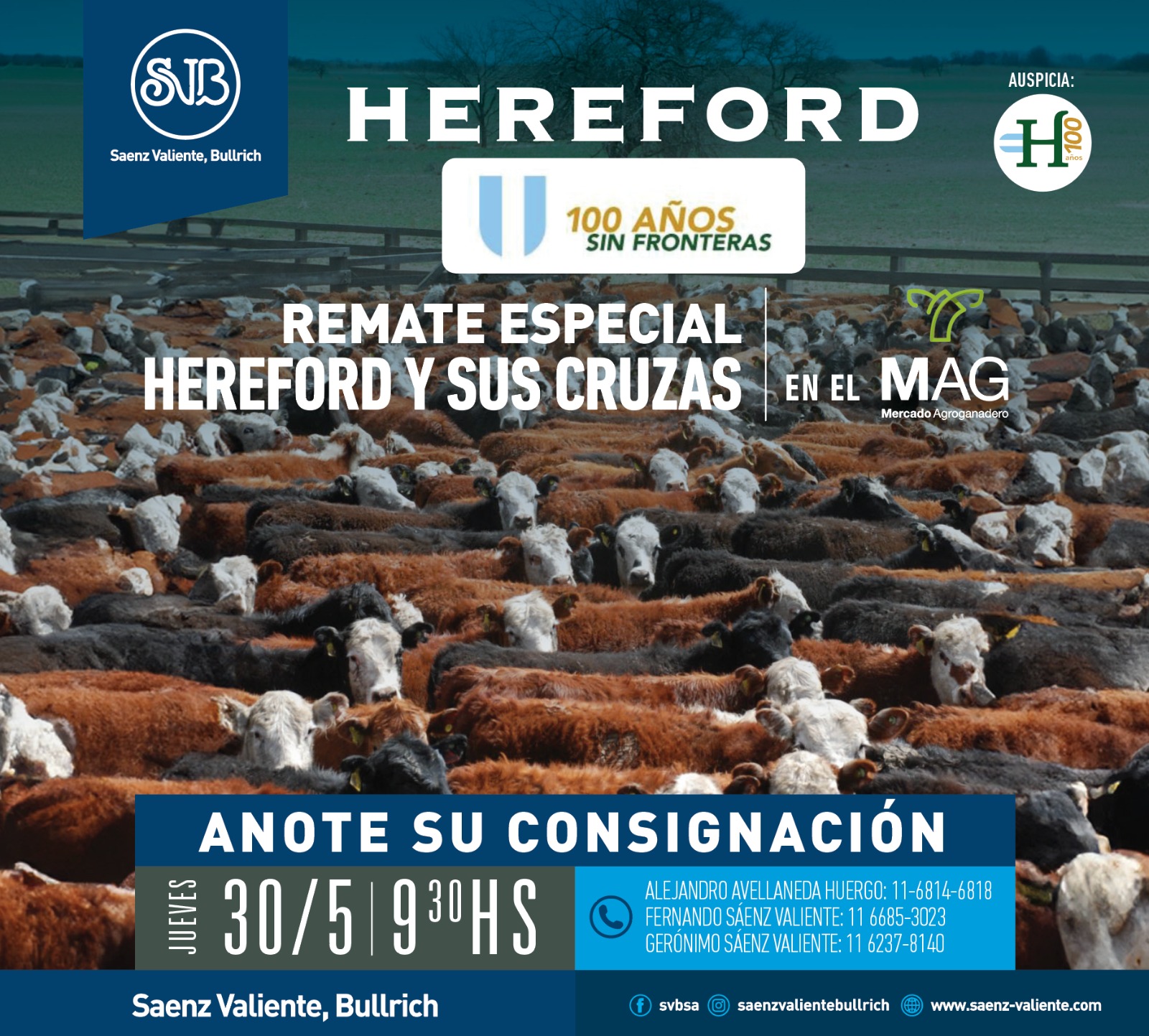 Saenz Valiente, Bullrich | Mercado Agro Ganadero, Buenos Aires | Próximo Remate Feria el Jueves 30 de mayo del 2024