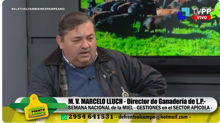 Entrevista: Marcelo Lluch, director de ganadería de La Pampa, nos habla sobre la Semana Nacional de la Miel