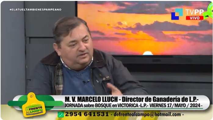 Entrevista: Marcelo Lluch, Director de Ganadería de La Pampa, aborda la gestión del bosque en jornada en Victorica