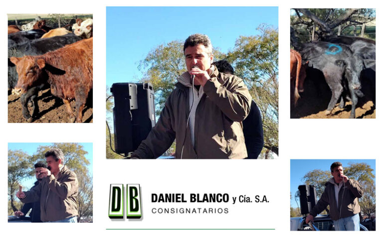 Daniel Blanco y Cia. S.A.