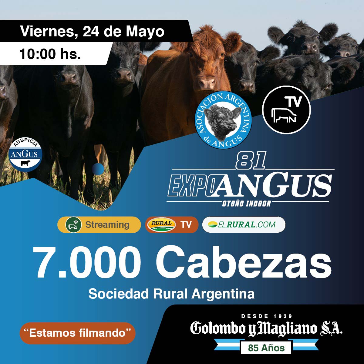 Colombo y Magliano S.A | TV Angus Otoño| Próximo Remate Feria el Viernes 24 de Mayo del 2024